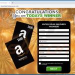 congratulations you are todays winner fraude cartão oferta amazon