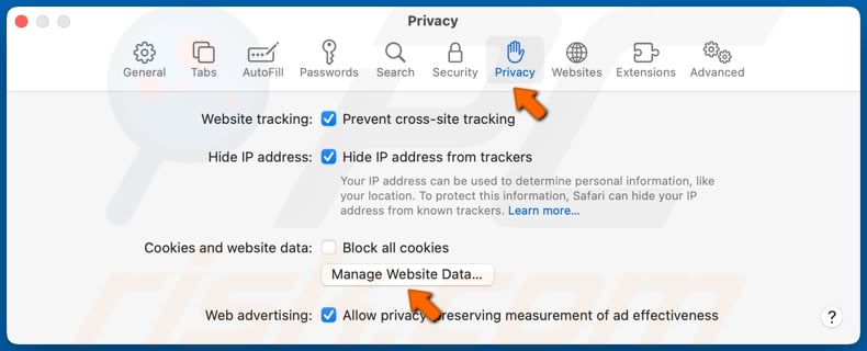 Selecione o separador Privacidade e clique em Gerir dados do sítio Web