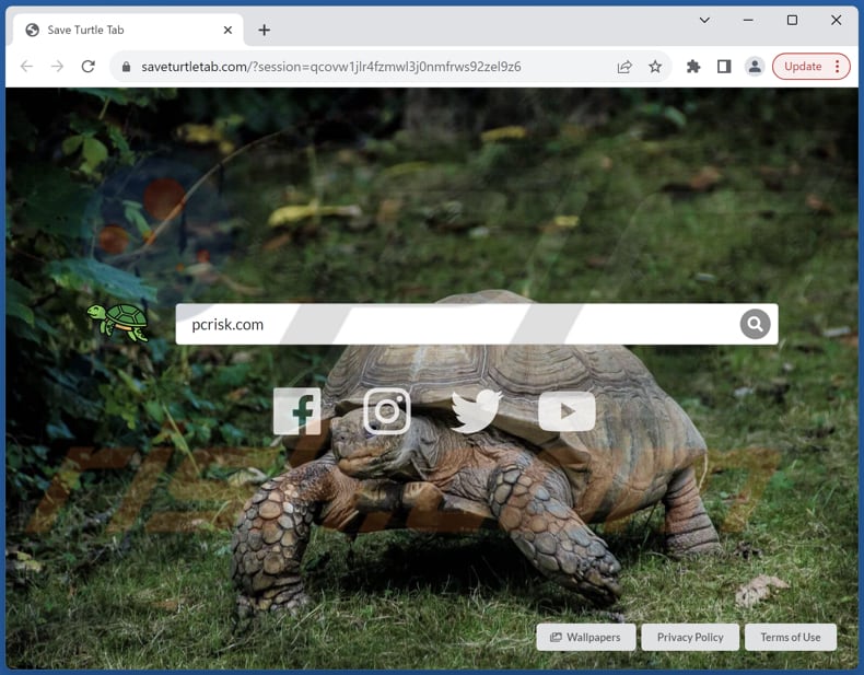 saveturtletab.com sequestrador de navegador