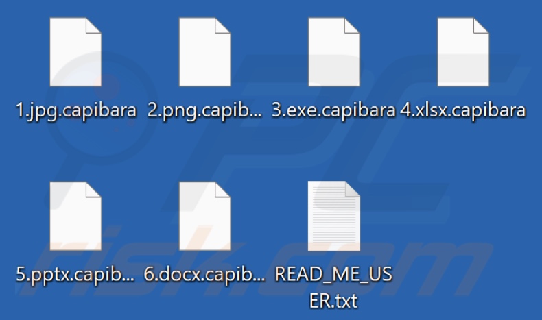 Ficheiros encriptados por Capibara ransomware (extensão .capibara)