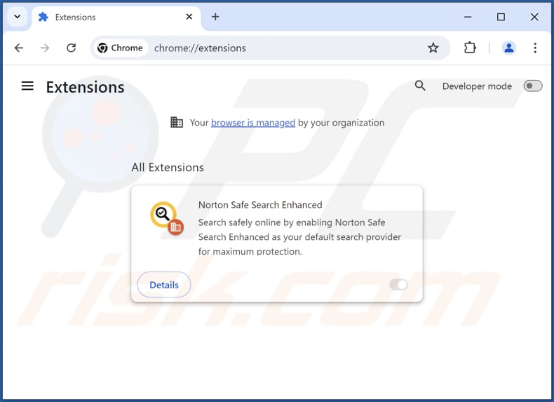 Remoção da extensão falsa Norton Safe Search Enhanced do Google Chrome 2