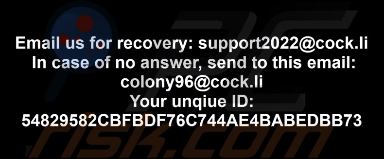 Colony ransomware papel de parede