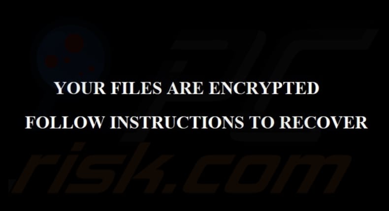 PlayBoy LOCKER ransomware papel de parede