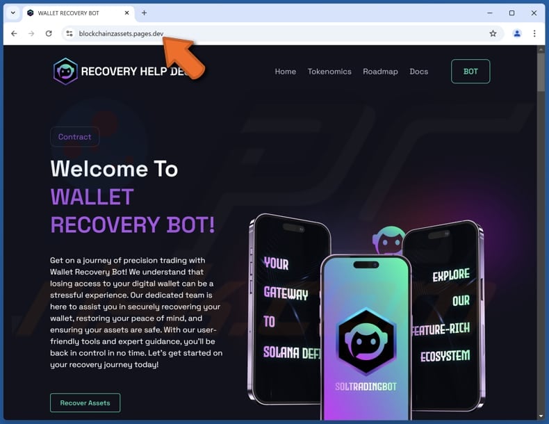 Wallet Recovery Bot fraude