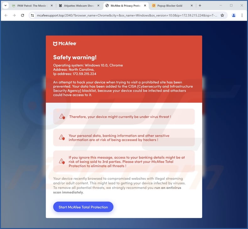 Safety Warning fraude (McAfee variante 2)