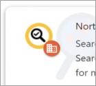 Falsa Norton Safe Search Enhanced Extensão