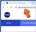 Falso BitPay Wallet Fraude