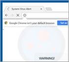 Fraude Windows Security Alert