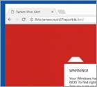 Fraude Microsoft System Security Alert