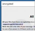 Ransomware Adame