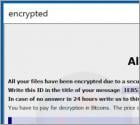 Ransomware Revon