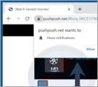 Anúncios Pushpush.net