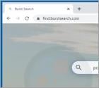 Sequestrador de Navegador Burst Search