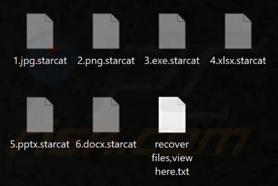 Starcat Ransomware