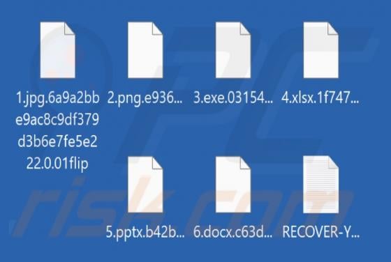 01Flip Ransomware