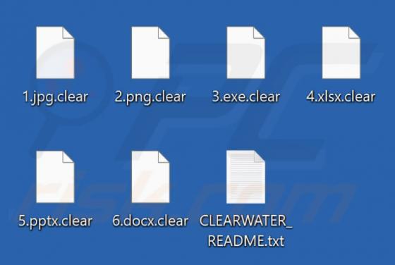 ClearWater Ransomware