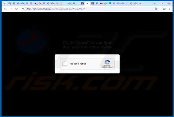 Anúncios de human-access.co.in