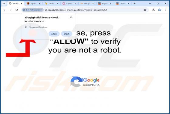 Anúncios de License-check-av.site